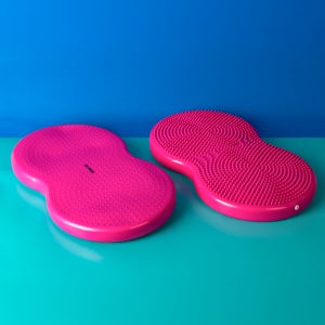 페키움 강아지 더블디스크 밸런스 짐볼 슬개골 운동