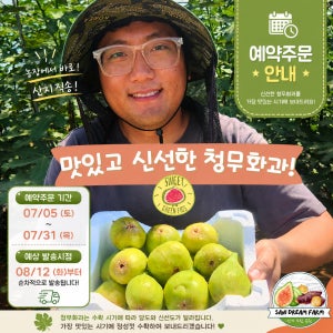 [산이드림농원] 해남 고당도 청무화과 2kg(당일수확)