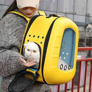 퍼피허그 투명 우주선 강아지 백팩 이동가방 고양이 기내용