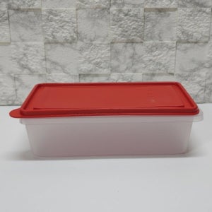 타파웨어 모듈러 냉장기 2.2L 투명레드 1P 냉장실 파 야채 생선 육류 보관 만능 용기