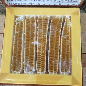지리산 벌집꿀 3.6kg