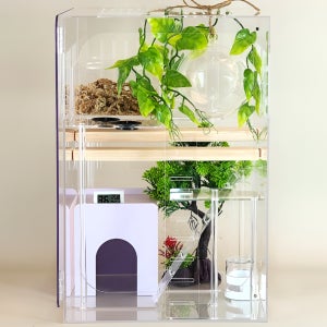 크레스티드 게코사육장 아크릴 파충류 도마뱀 용품 투명 30x30x45cm