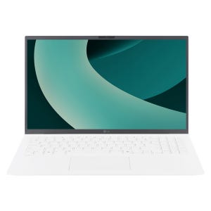 LG전자 LG그램 15Z90T-GA5HK 16GB 2TB 에센스 화이트