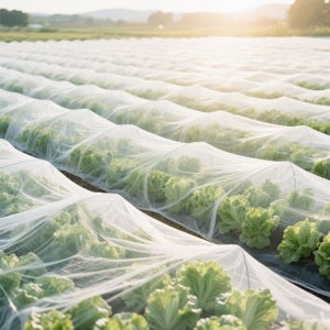 한냉사 방충망 농작물보호망 해충차단 조류퇴치 농사용 그물망 과수원 채소밭 울타리망 50M