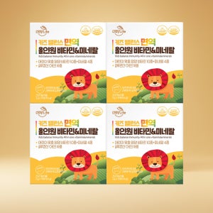 데이라이프 키즈 밸런스 면역 비타민 미네랄 어린이 올인원 종합 영양제 33포, 4개