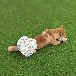 강아지 생리대 옷 기저귀 생리 팬티 치마 바지 귀여운 고래 애견 반려견 여름 벨크로 옷