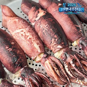 국내산 대왕 통찜용 초코오징어 3-4미 / 총 1kg내외