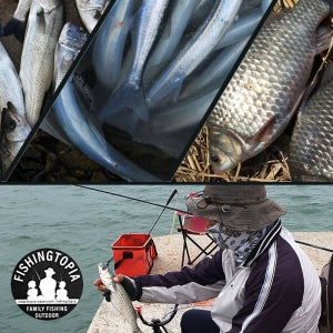 피싱토피아 4계절 다목적 바다 민물 낚시 전천후 민장대 18종세트 초보자