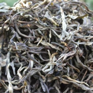 2023년 대설인 보이차 생차 산차 500g