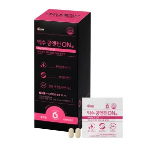 [주말특가] 익수 공앤진ON 500mg 60정 순환 활력제 피로회복제 공앤진온정 침향