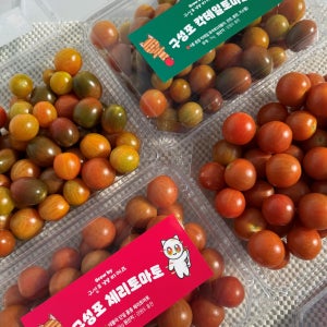 당일수확 산지직송 방울 토마토 2kg 실중량