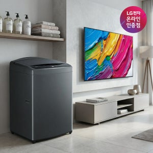 LG 통돌이 세탁기 + LG QNED AI TV 세트 (T19MX8A + 65QNED75AEA)