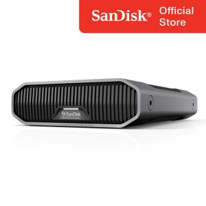 샌디스크 프로페셔널 G-DRIVE Enterprise-Class 12TB, 그레이