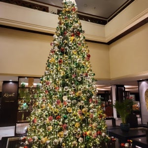 크리스마스트리렌탈 3m 이상 야외용 오너먼트 대형트리 트리설치