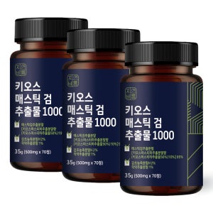 위 매스틱 검 복합체 효능 70정, 3개
