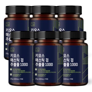 위 매스틱 검 복합체 효능 70정, 6개