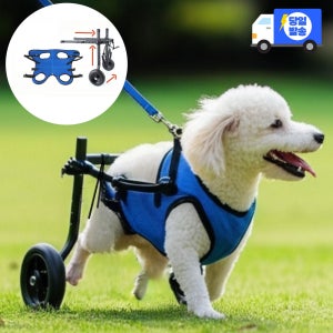 [슬개골지킴이]강아지 보행기 휠체어 보조기 슬개골탈구 재활훈련 2륜 블루, XS