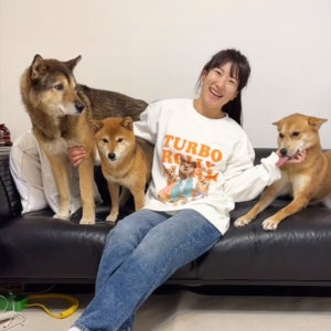 강아지 맨투맨 제작 고양이 반려동물 반려견 커스텀 프린팅