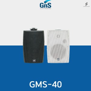 GNS 지앤에스 GMS-40 벽부형스피커 40W High/Low겸용 1개