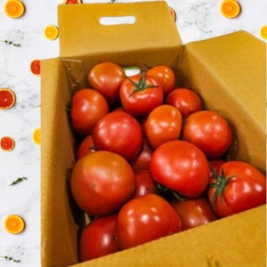 쥬스용 토마토 기스 완숙 찰 못난이 짭짤이 토마토 주스용