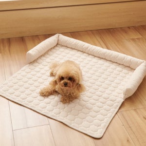 반려동물 강아지 고양이 소파 침대 논슬립 매트