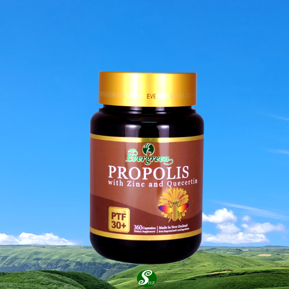 에버그린 뉴질랜드 프로폴리스 + <b>아연</b> 케르세틴 360캡슐 1통