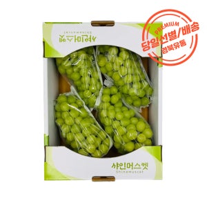 [산지직송] 18brix 고당도 샤인머스켓 2kg, 4kg 당도선별 특품