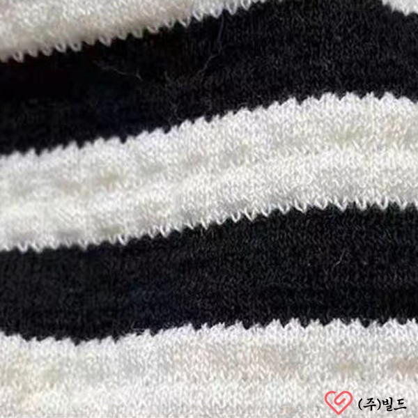 Bichon Frise (비숑 프리제)