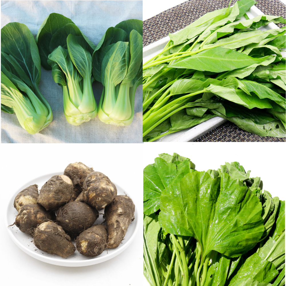 공심채 청경채 쑥갓 근대 아욱 케일 토란 생고들빼기 <b>물냉이</b> 은달래 차요태 방아잎 국수호박