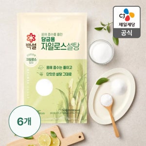백설 담금용 하얀 자일로스 설탕 5kg, 6개