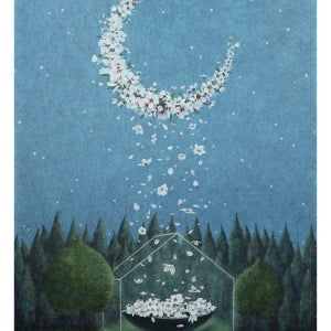 김성윤_Flowerrain (2533)