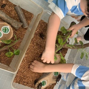 대전에서 표고버섯수확하고 곤충친구들과 놀기