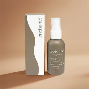 성견 배변 훈련 강아지 대소변 교육 배변 유도제 60ml