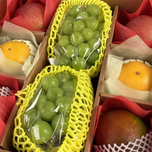 프리미엄 나주배 골드망고 애플망고 샤인머스켓 석류 사과 명품 혼합 과일 선물 세트