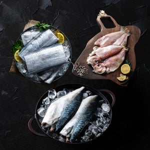 [제주어부] 제주 옥돔 고등어 갈치 세트 반건조 생선 선물세트 산지직송