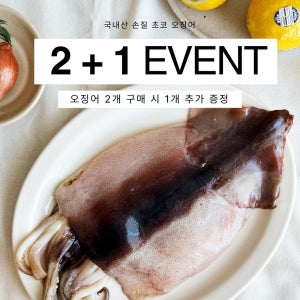 2+1 국내산 손질 초코 오징어 500g 2마리 라파랑
