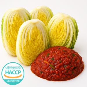 두메 절임배추 양념세트 김장밀키트 강원도 영월 고랭지 배추 HACCP인증 20kg, 1개