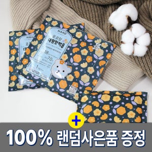 포포랑 대용량 핫팩 150g 대형 포켓형 60개