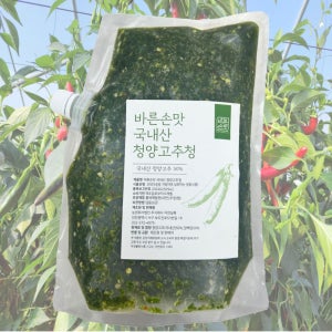바른손맛 청양고추청 국내산 땡초청 천연조미료 1.5kg