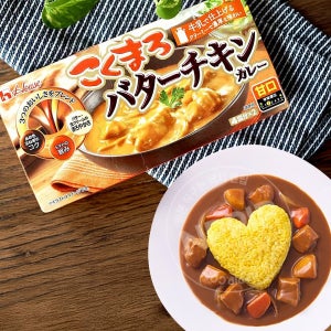 하우스 고쿠마로 버터 치킨 고체 카레 매운맛 8인분