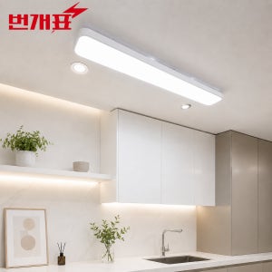 번개표 행복 LED 주방등 주방조명 부엌등 50W, 주광색
