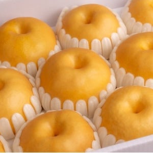 25년 햇배 나주배 가정용 선물용 신고배 5kg