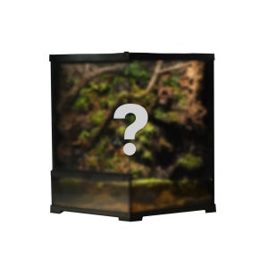 비바리움 테라리움 팔루다리움 주문제작