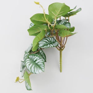 조화 제브라 오르비폴라 새순 넝쿨 바인 26cm 담쟁이 덩쿨 덩굴 플랜테리어 실내 조경