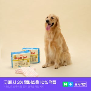 래핑찰리 슈퍼패드 60x75cm 초강력흡수 배변패드대형 SAP고함량