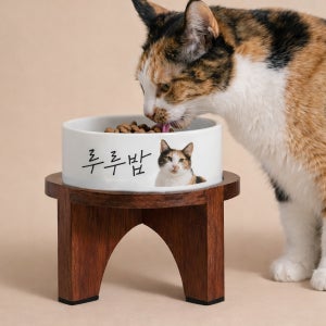 반려동물 사진 맞춤 도자기 식기 커스텀 주문제작 고양이 강아지 밥그릇 원목 식탁