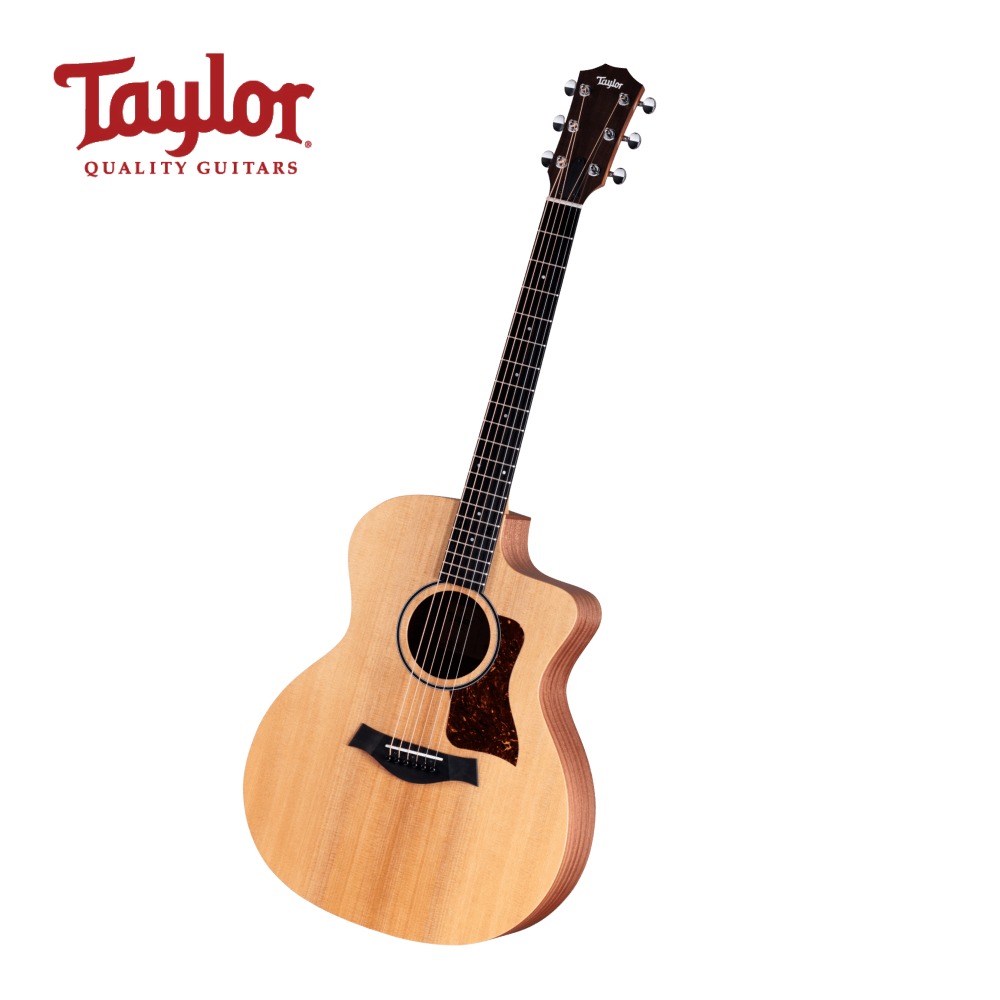 Taylor 테일러 14ce 입문용 어쿠스틱 픽업 통기타