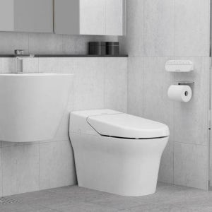 아메리칸스탠다드 비데일체형 변기 플랫 네츄럴 양변기 직수형 8340 3640