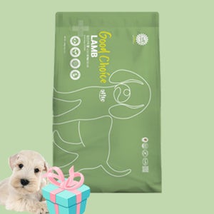 {5P샘플증정} 엘릿 엘리트 친환경 유기농 인증 강아지 건강 사료 양고기(눈관리), 4.8kg, 1개