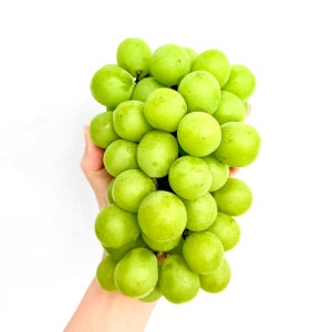 가정용 샤인머스켓 제철 씨없는 고당도 샤인머스켓 2kg 1kg 망고포도
